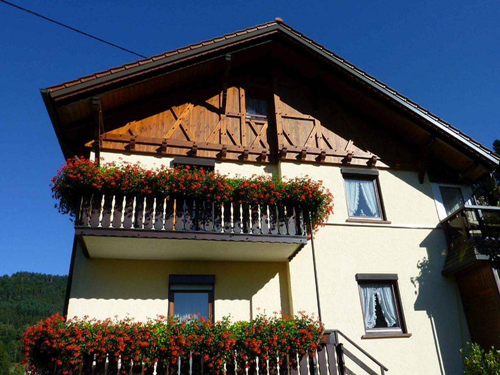Haus Harter Apartment Wolfach Exterior foto