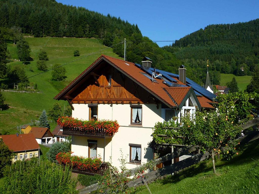 Haus Harter Apartment Wolfach Exterior foto